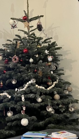 Guirlande de perles en bois, boules rouges et blanches. — Sapin Nordmann naturel