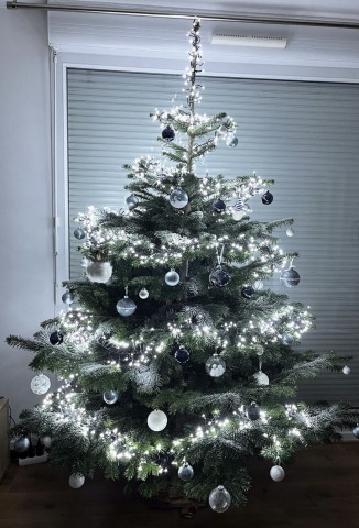 Guirlandes lumineuses, boules bleu nuit et argent. — Sapin Nordmann naturel